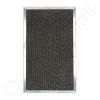 Trion 245395-007 After Filter